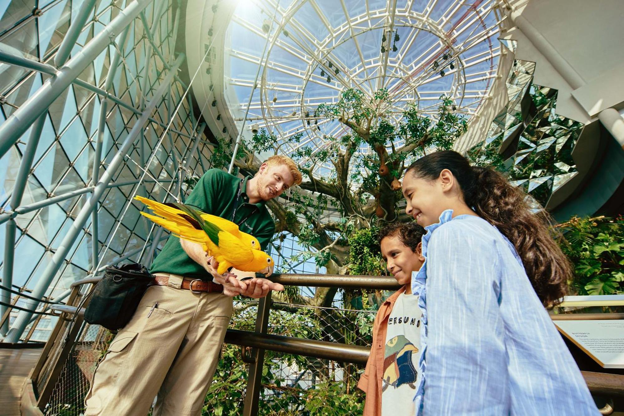 La Ville Hotel & Suites City Walk Dubai, Autograph Collection Eksteriør billede The Aviary